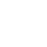 Google Review